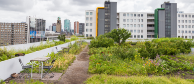 Toits urbains européens